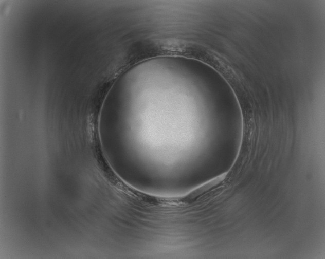 X0000073830707200608170941