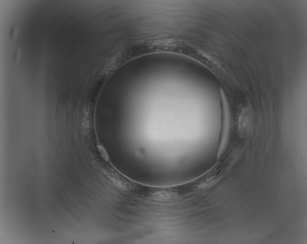 X0000073830708200608170941