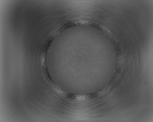 X0000073830709200608170941