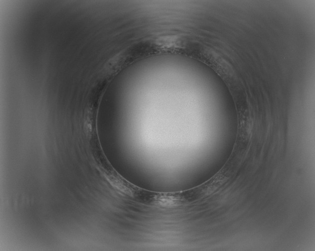 X0000073830710200608170941