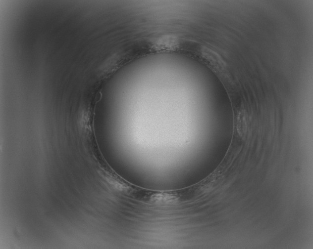 X0000073830714200608170941