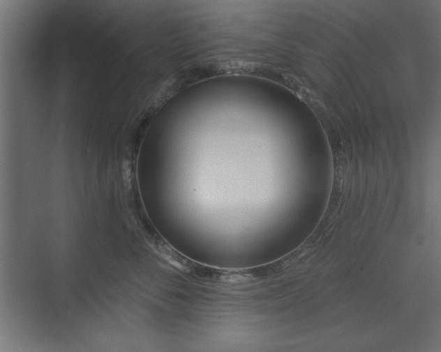 X0000073830716200608170941