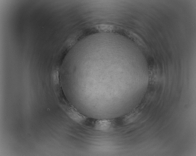 X0000073830717200608170941