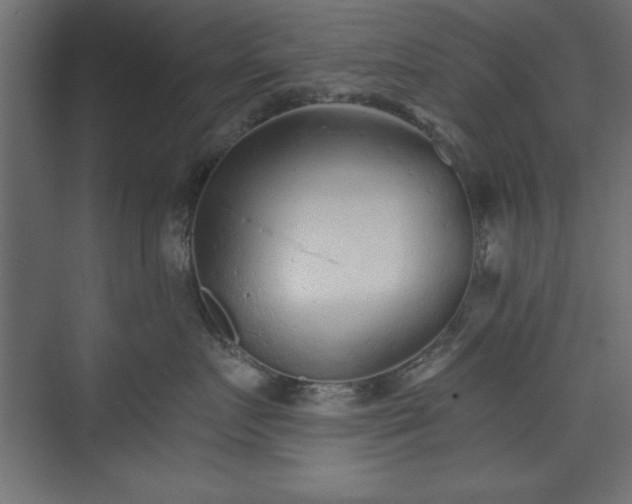 X0000073830719200608170941