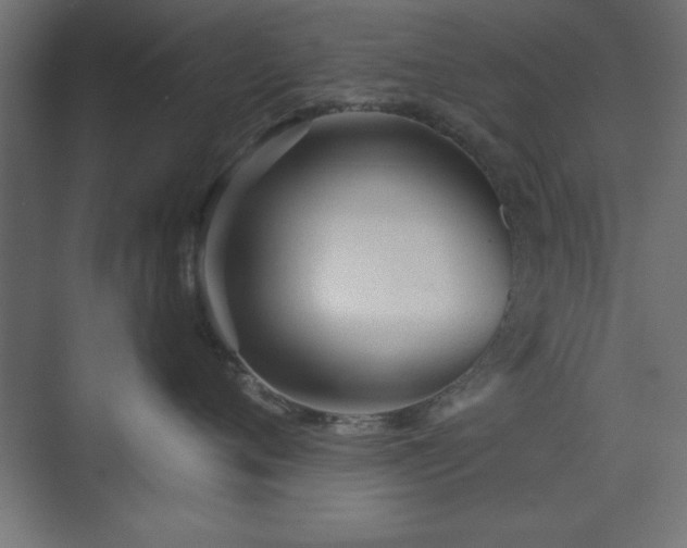 X0000073830720200608170941