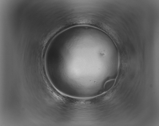 X0000073830721200608170940