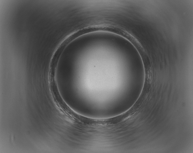 X0000073830724200608170940