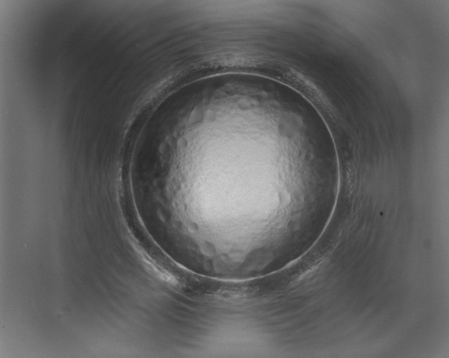 X0000073830725200608170940