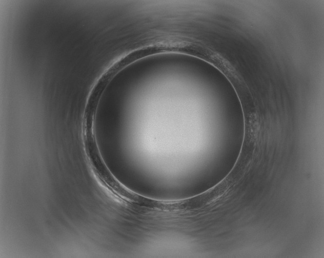 X0000073830726200608170940