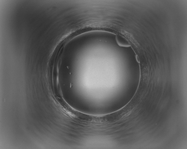 X0000073830727200608170940