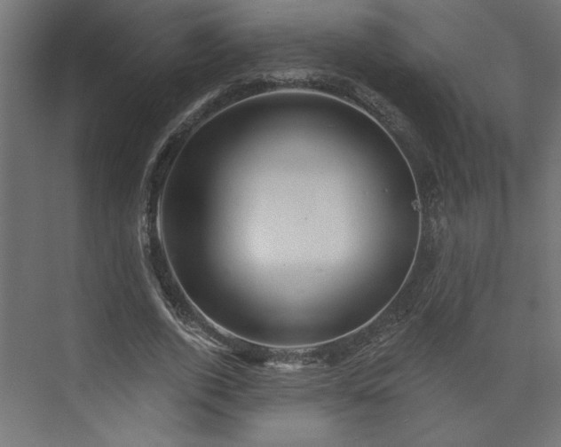 X0000073830728200608170940