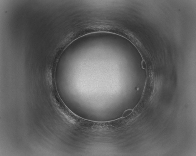 X0000073830729200608170940