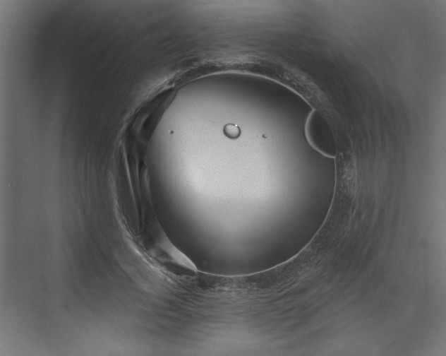 X0000073830732200608170940