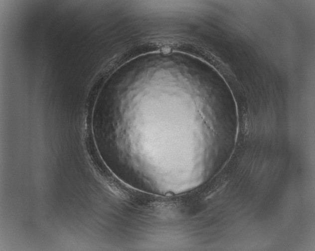 X0000073830733200608170940