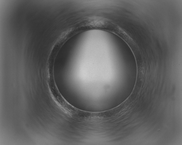 X0000073830734200608170940