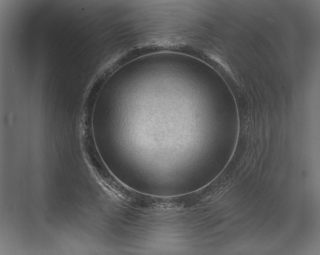 X0000073830736200608170940