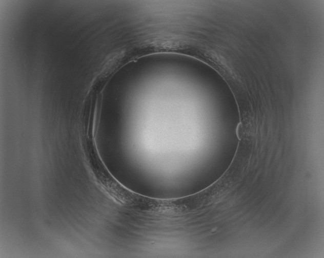 X0000073830738200608170940