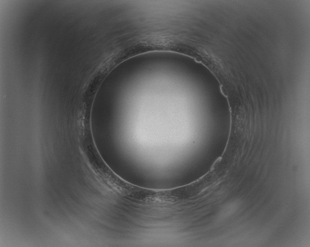 X0000073830739200608170940