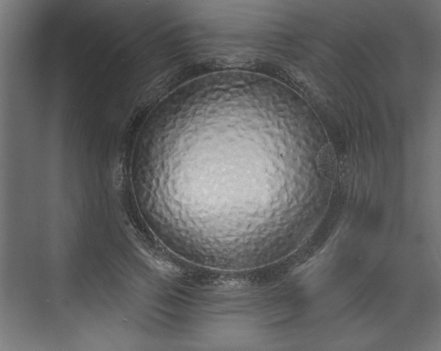 X0000073830741200608170940