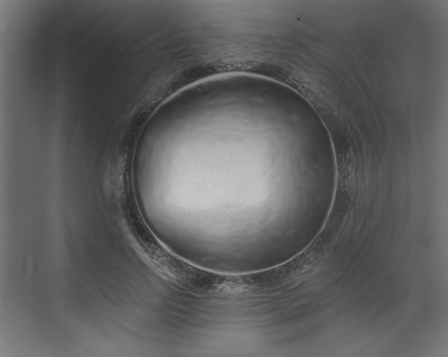 X0000073830742200608170940