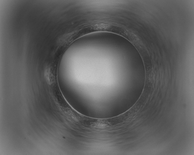 X0000073830743200608170940