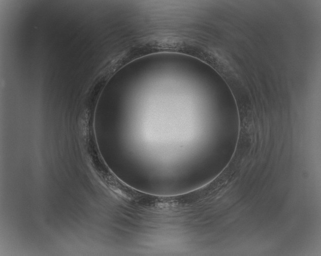 X0000073830744200608170940