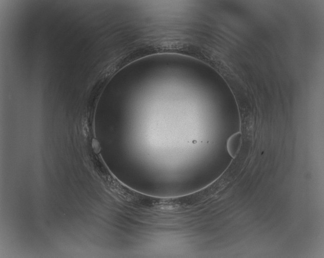 X0000073830746200608170940