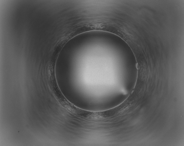 X0000073830747200608170940