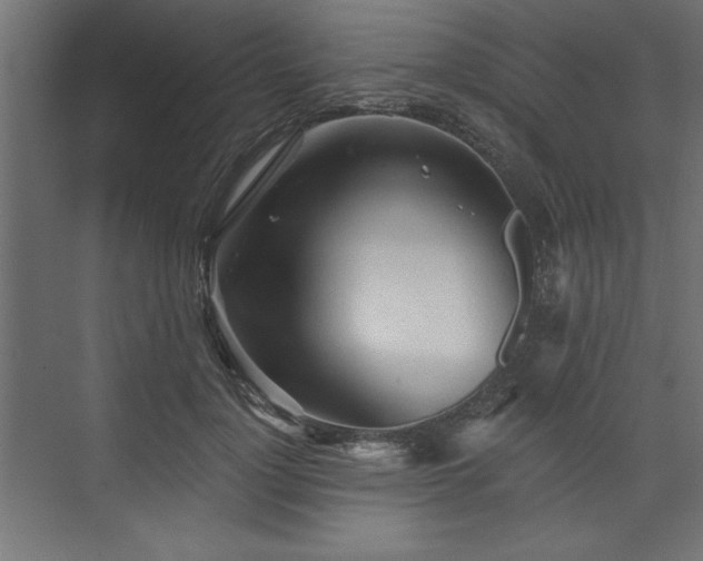 X0000073830748200608170940