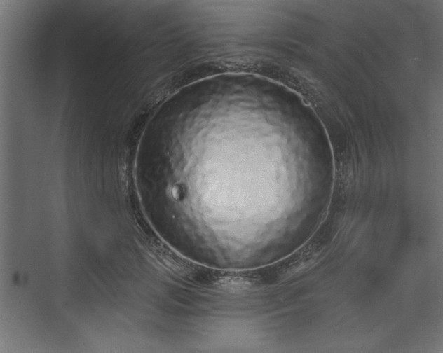 X0000073830749200608170940