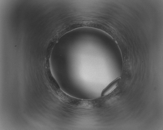 X0000073830750200608170940