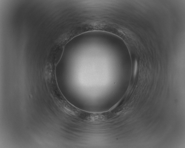 X0000073830752200608170941