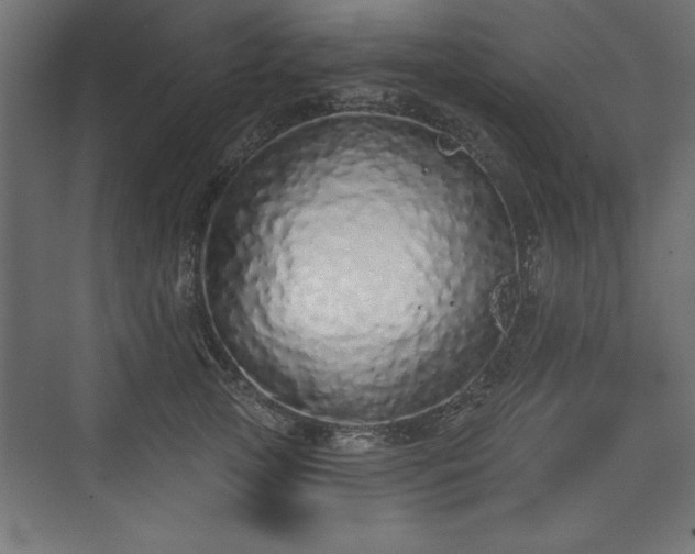 X0000073830753200608170941