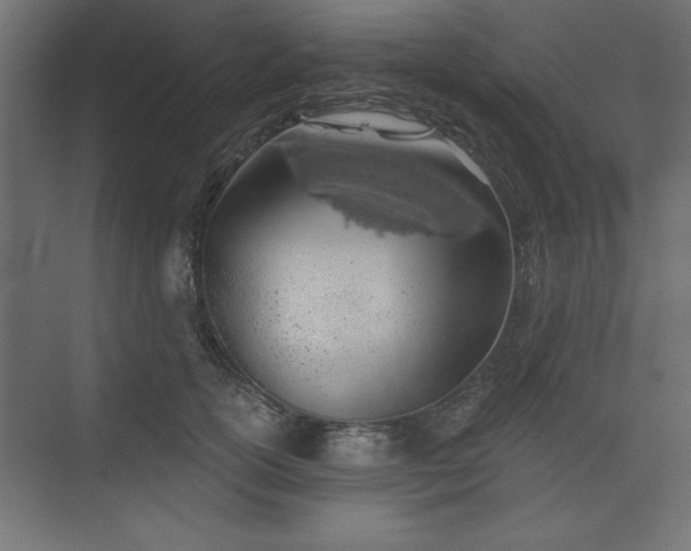 X0000073830754200608170941