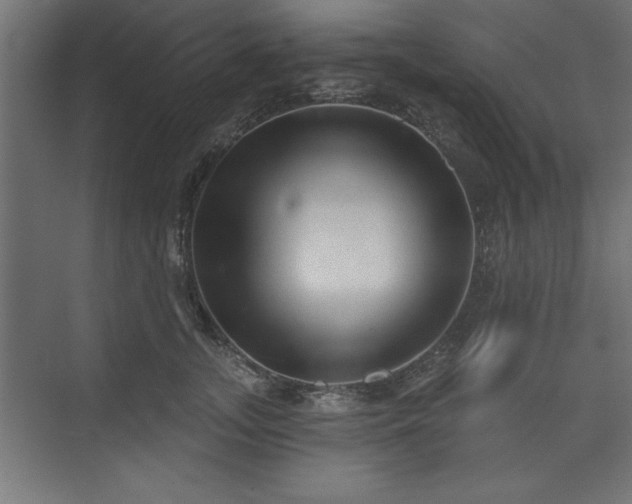 X0000073830755200608170941