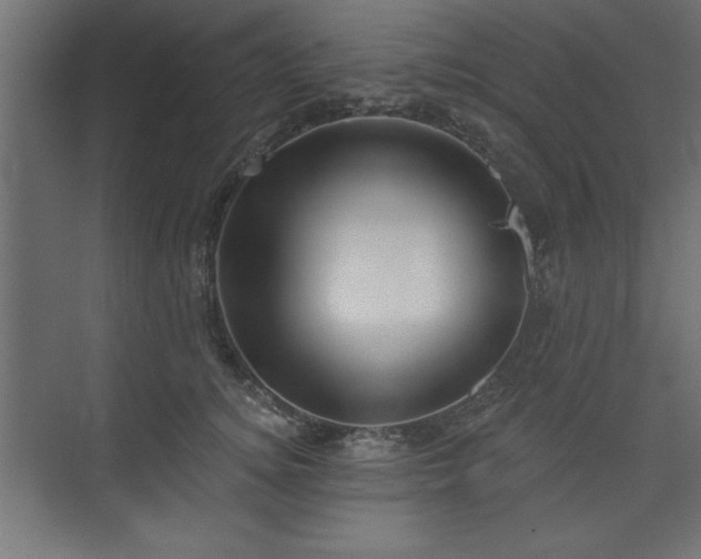 X0000073830756200608170941