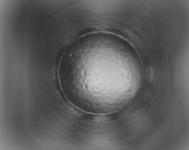 X0000073830757200608170941