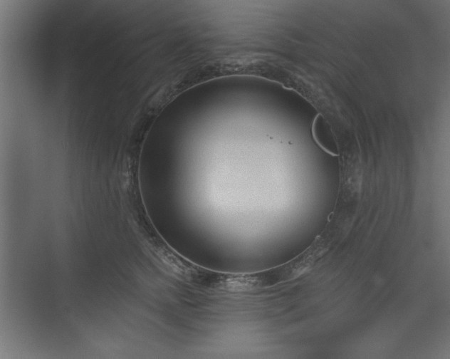 X0000073830758200608170941