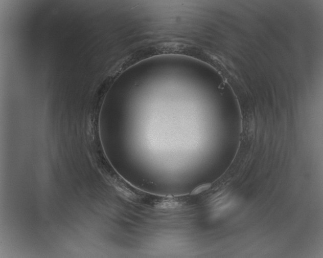 X0000073830759200608170941