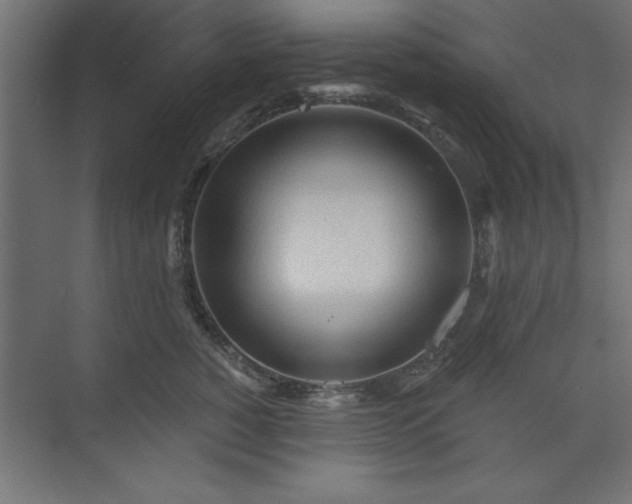 X0000073830760200608170941