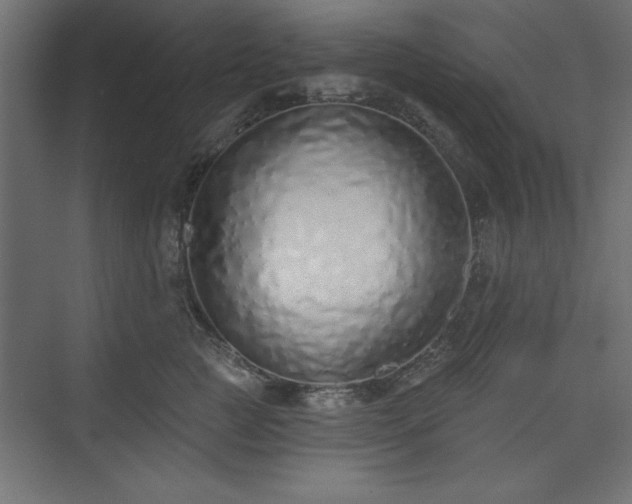 X0000073830761200608170941