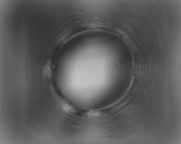 X0000073830762200608170941