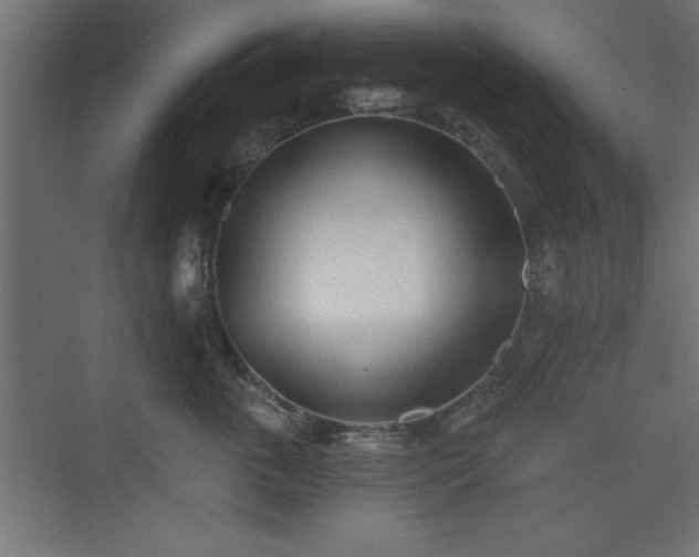 X0000073830763200608170941