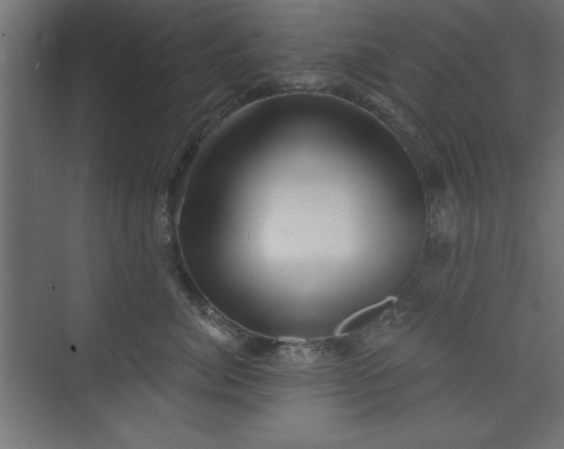 X0000073830764200608170941