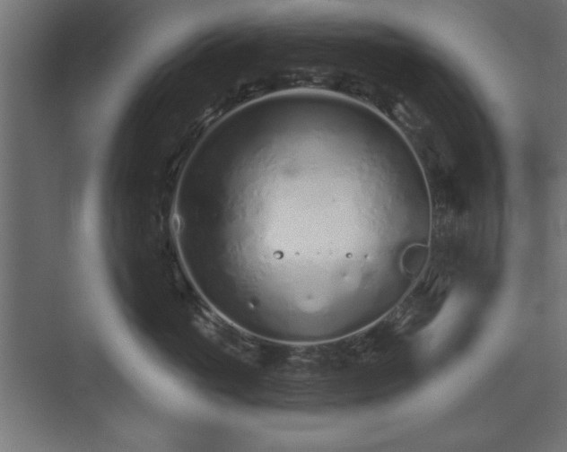 X0000073830765200608170941