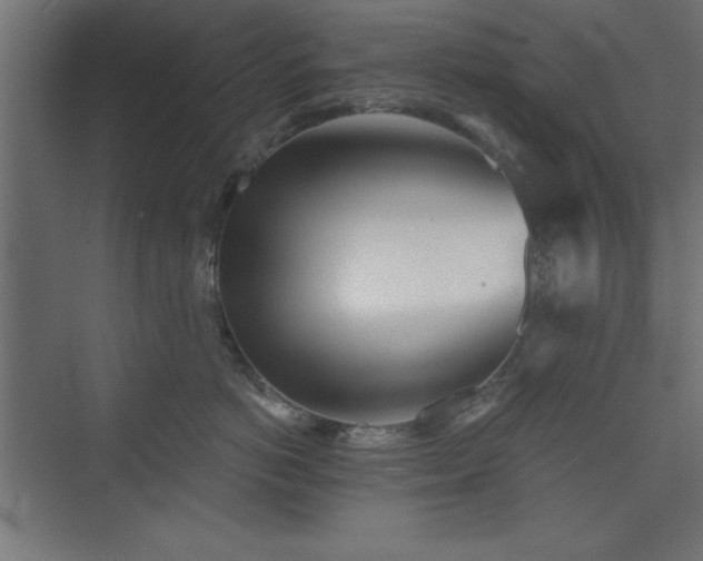 X0000073830766200608170941