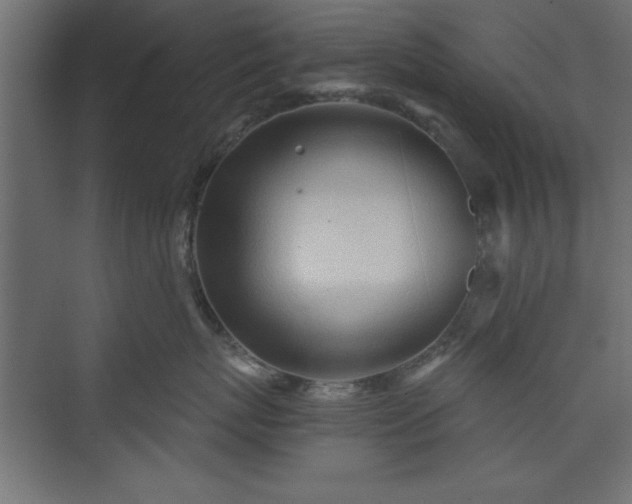 X0000073830767200608170941