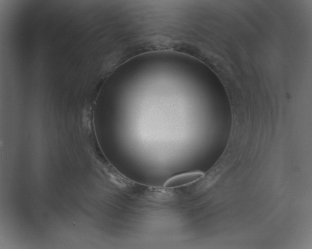 X0000073830768200608170941