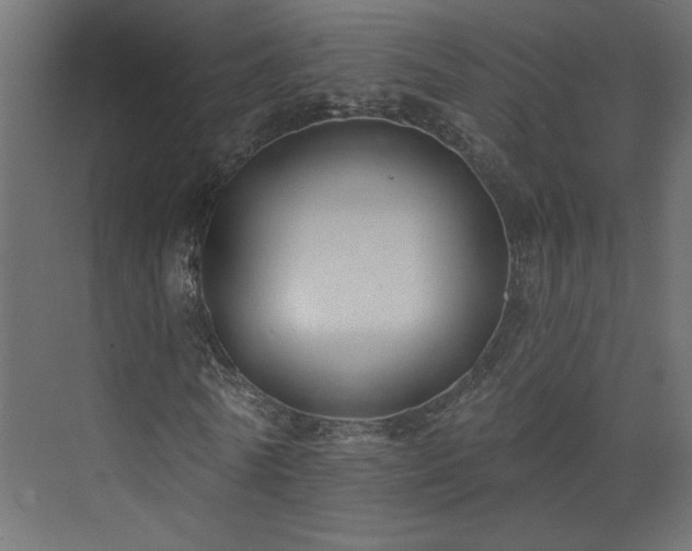 X0000073830770200608170940