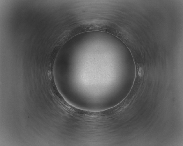 X0000073830771200608170940